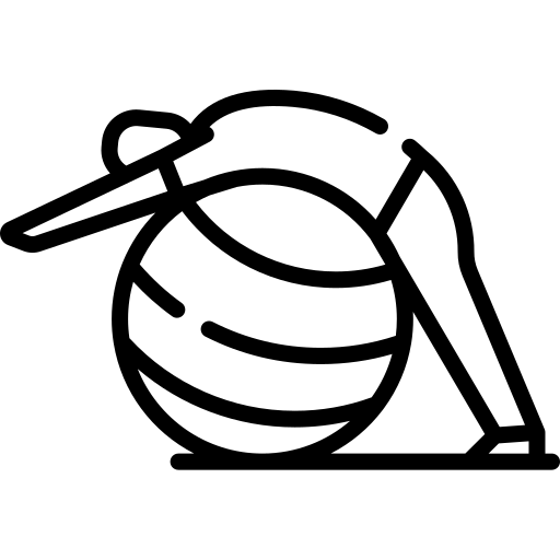 Ícone de Fisioterapia Preventiva